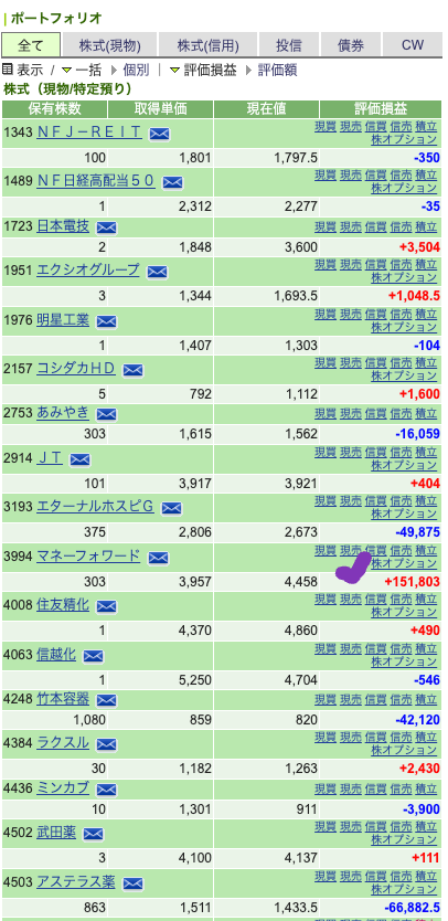 Panda's portfolio jp 20250208