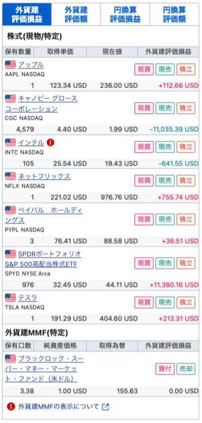 Panda's us portfolio 250202